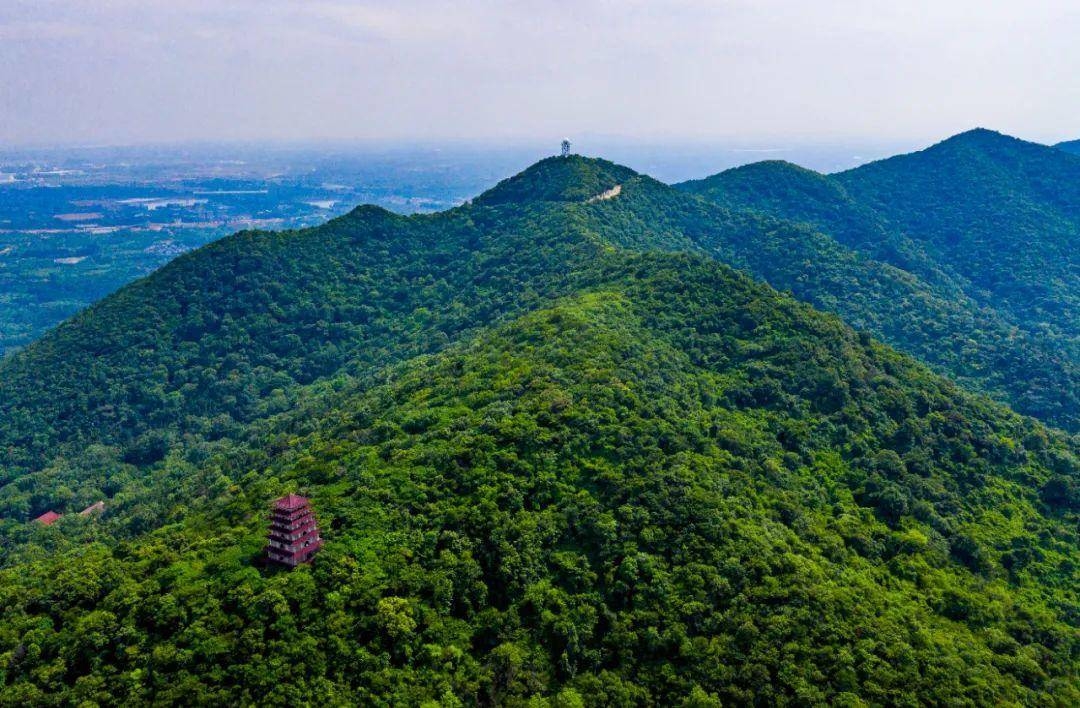 老山狮子岭