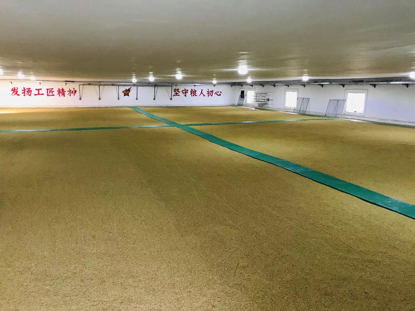 粮仓内部，稻谷舒适地“躺在”空调房中