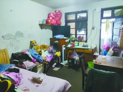 梦梦（化名）梦想小屋改造前。