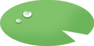 浮萍2.png 图片