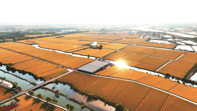 南京市江宁区周岗圩灌区