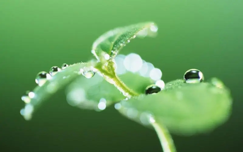 u=330882224,3008153660&fm=253&fmt=auto&app=138&f=JPEG.webp.jpg