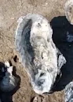 微信截图_20230309154706.png