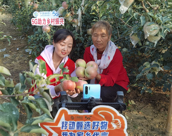 微信图片_20241118114147.png