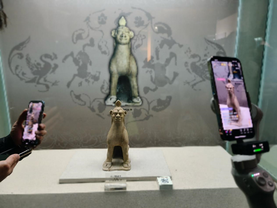 微信图片_20241128101441.png